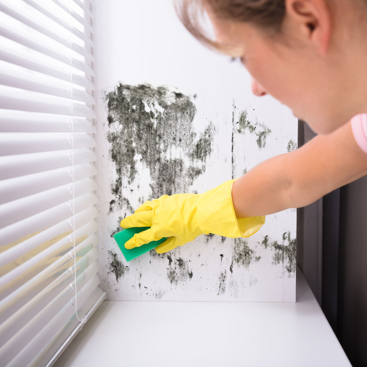woman scrubbing mould off wall near window in yellow gloves