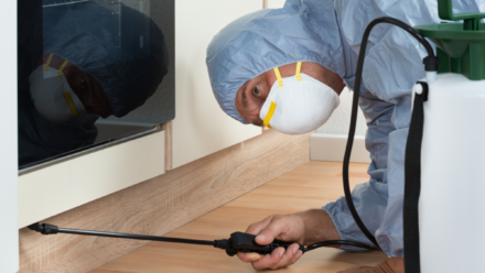 Man kneeling on floor wearing proctieve cleaning gear spraying under cabinets