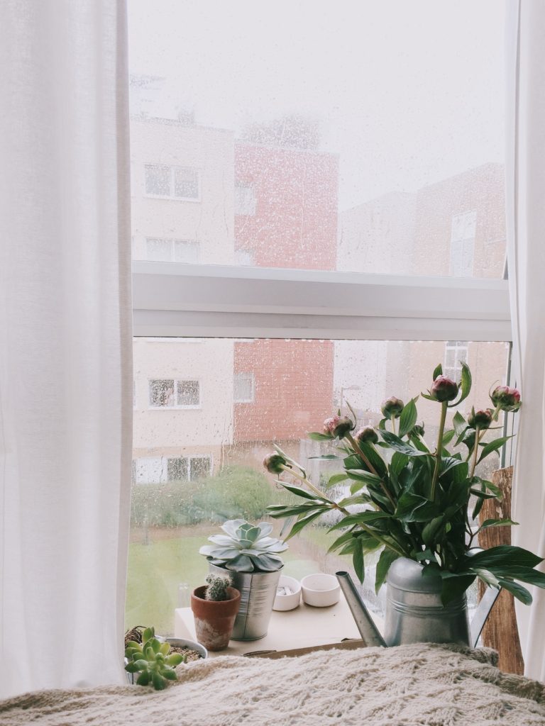 The inside of a home, looking out of the window. Flowers are on the window in a vase.