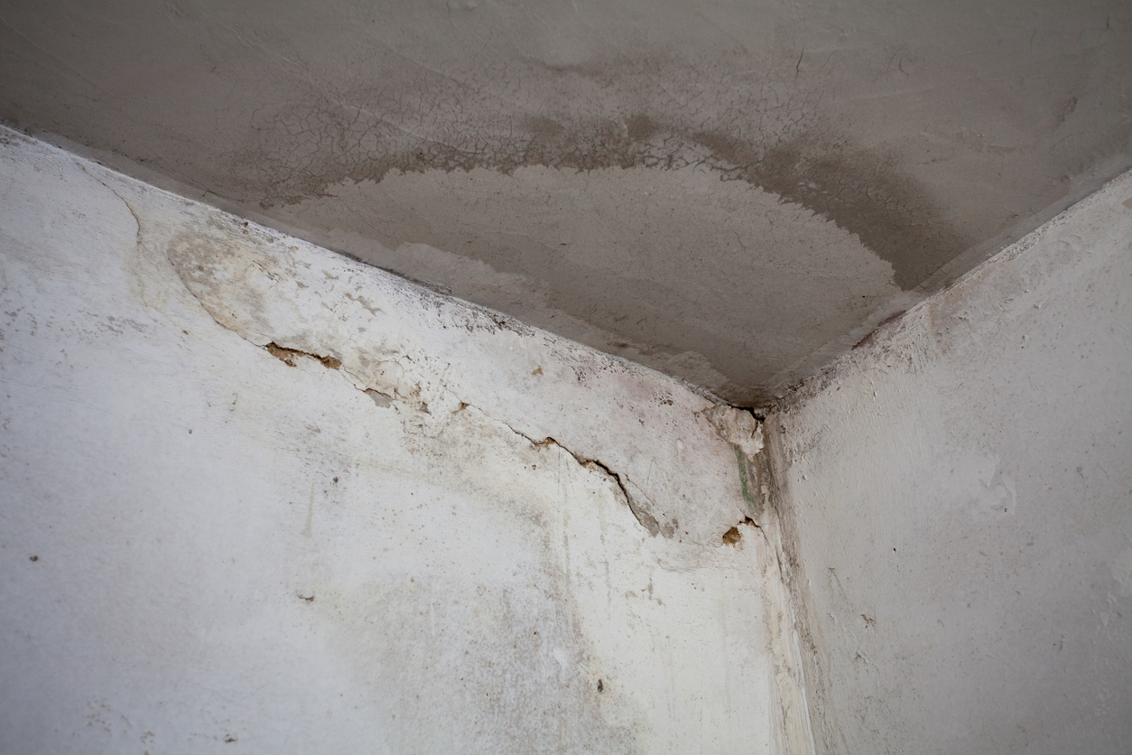 Photograph of damp and mould on walls and ceiling