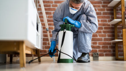 Pest Control Exterminator Services Spraying Termite Insecticide