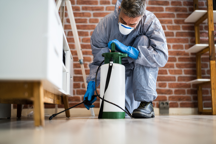 Pest Control Exterminator Services Spraying Termite Insecticide
