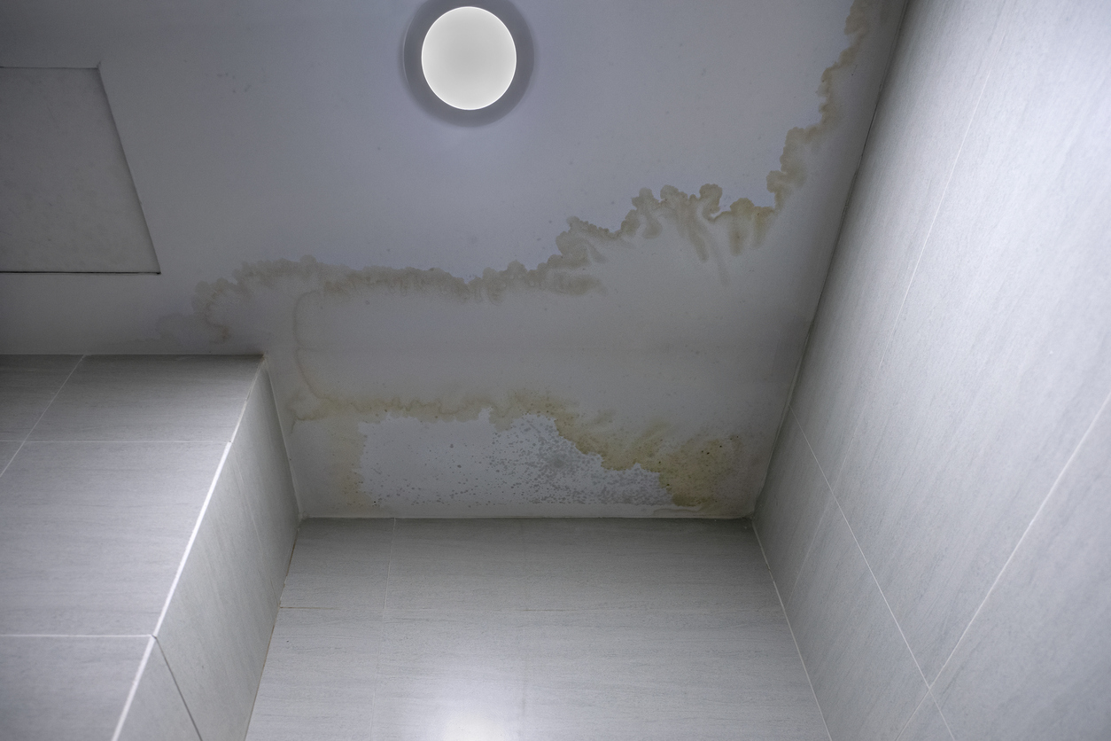 Photo of ceiling stained by damp