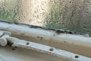 image of an old window with rotten wood and mould on it, inside an older home, during winter.